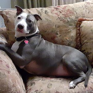 Meet your Posher, Bernadette